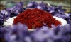 $25m of saffron exported from Khorasan Razavi province